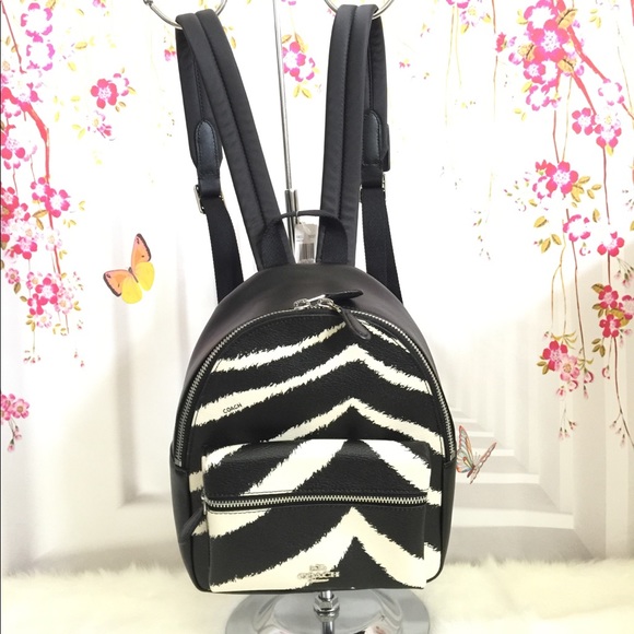 coach zebra backpack